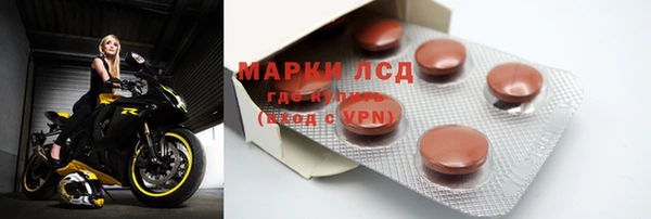 трава Гусиноозёрск