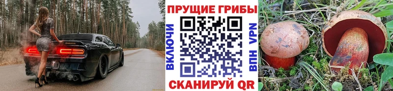 Псилоцибиновые грибы Psilocybe  сайты даркнета состав  Северодвинск  магазин продажи наркотиков 